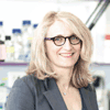 Anne-Paule Gimenez-Roqueplo Anne-Paule Gimenez-Roqueplo